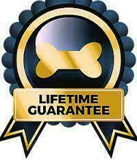 Кавалер кинг-чарльз-спаниель