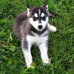 <span style="font-weight: bold;">Marty</span>